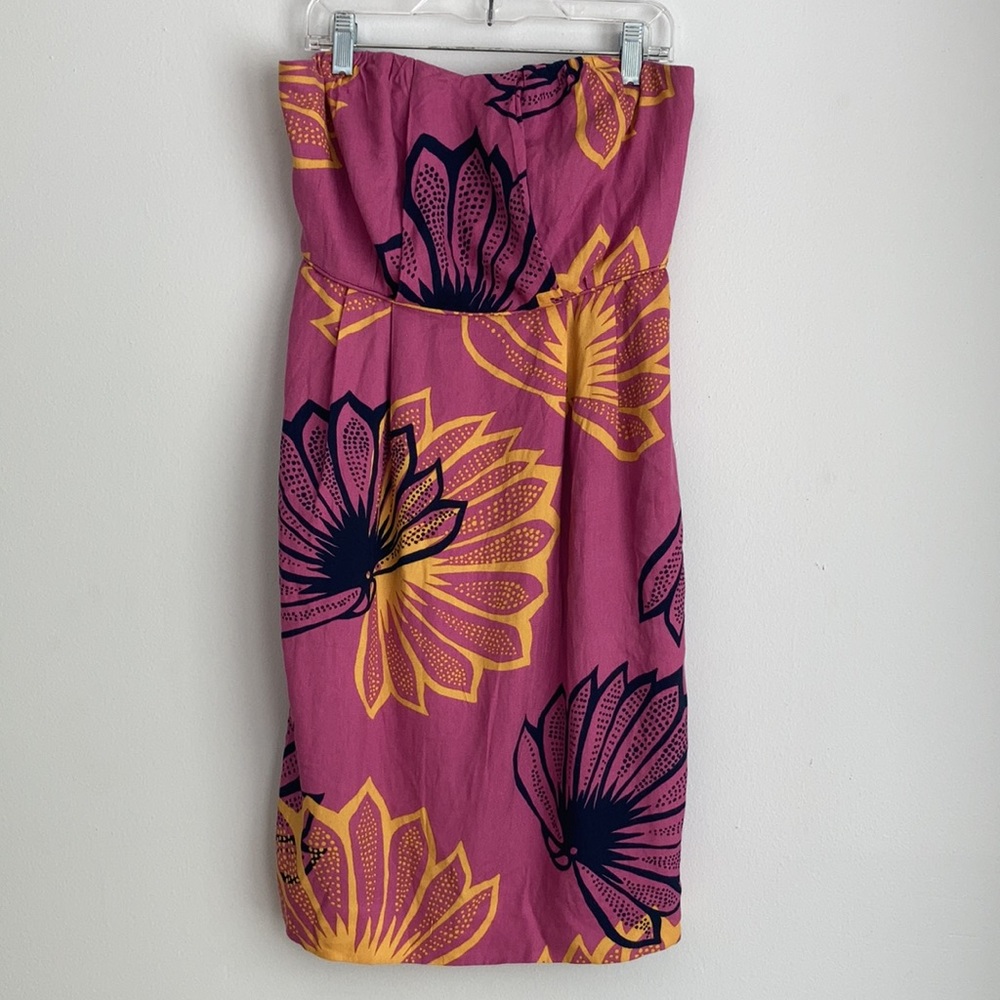 Anthropologie Sariah Agave Burst Dress